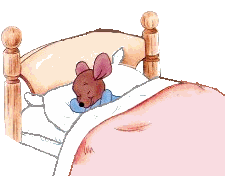 Rinbed