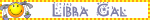 hp libra